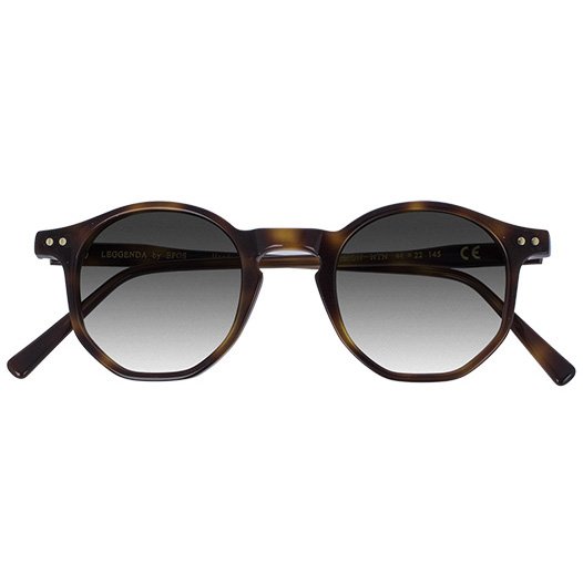 Epos Amon NTN lenti grigie sfumate