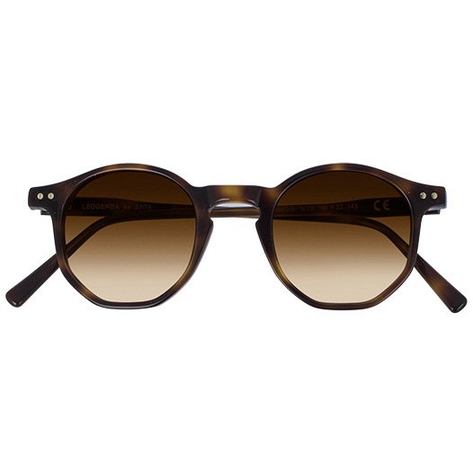 Epos Amon NTN lenti marroni sfumate