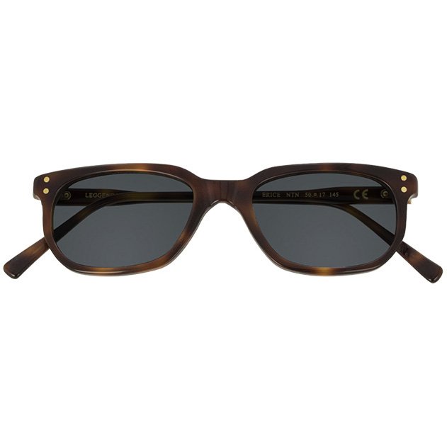 Epos Erice NTN lenti grigie