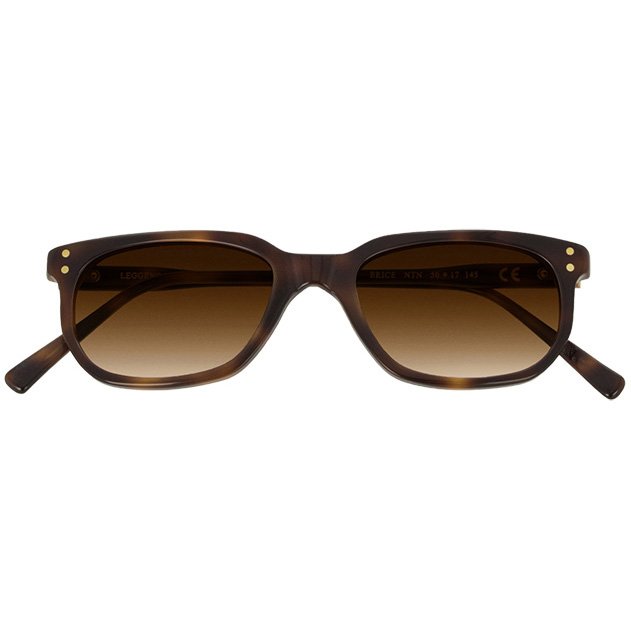 Epos Erice NTN lenti marroni sfumate